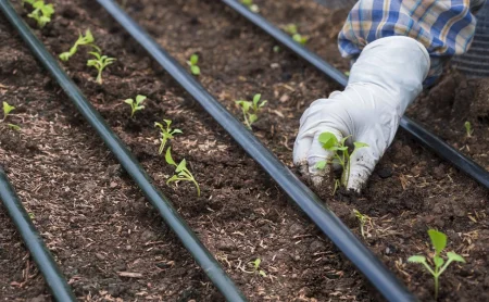 Como mejorar la eficiencia del riego en la agricultura