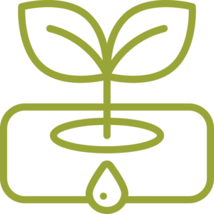 Hidroponía